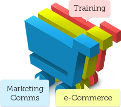 Marketing & Comms, e-commerce, Training